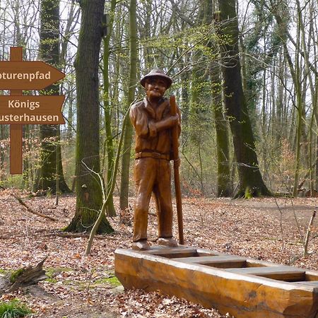 Relaxrefugium Luxus - Kueche, Arbeitsplaetze, Stellplatz & Komfort Fuer Bis 6 Gaeste Königs Wusterhausen المظهر الخارجي الصورة